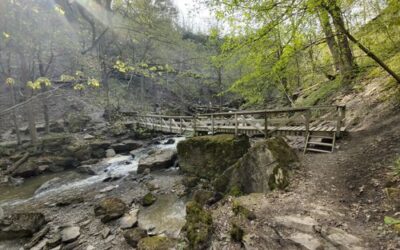 Famous Trails in St. Catharines