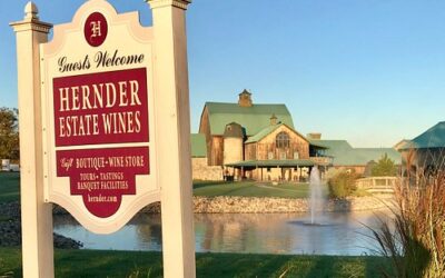 Wineries in St. Catharines