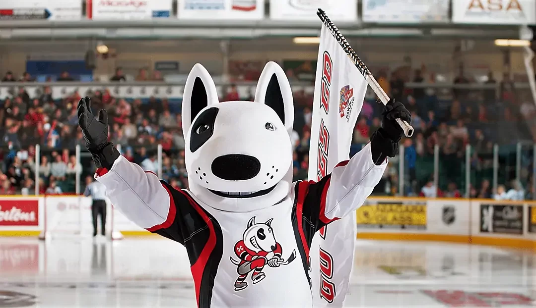 St Catharines IceDogs