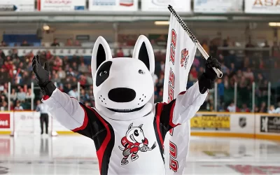 St Catharines IceDogs